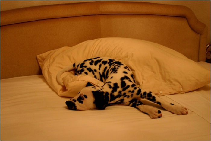 Hurra, das Schlafzimmer ist offen!